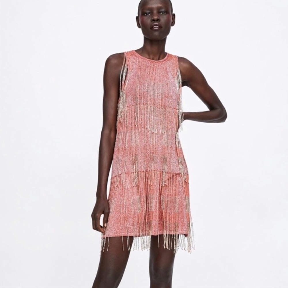 LIMITED EDITION FRINGED DRESS from Zara
